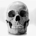 Beginner BYOR 3 Deadchat