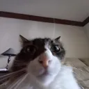 forever freaky ࿖ Discord Server Icon