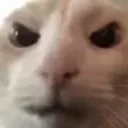 ghOsty's Server 🎄