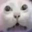 ghOsty's Server