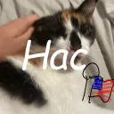 History Appreciation Club Discord Server Icon