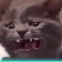 The Ones That Got Away Discord Server Icon