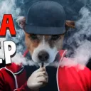 VAPELAND
