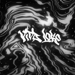 Discovery icon for 💫 L'équipages Vida Discord server