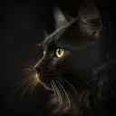 Lanicat - Підтримка — мониторинг Discord сервера, статистика и рейтинг