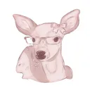Dydy_bu