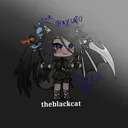 theblackcat363's server