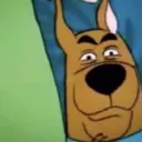 What are we doing here?