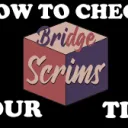 Bridge Scrims (Noobs)'s icon