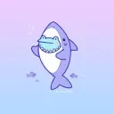 Sharks!