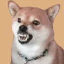 Polygon Games*