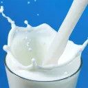 Milkdrinkers Workshop