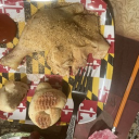 no toxic people allowed (aromatic vibe) Discord server icon