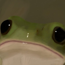 freg