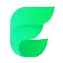Elisi