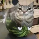 Memory Hole (racist) Discord Server Icon