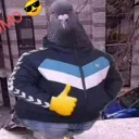 SERVIDOR DE PALOMOS