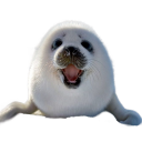 seal tag - free nitro avatar