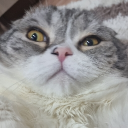 Discovery icon for WhiskasLab Discord server