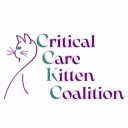 Shar's Kitten Coalition 💜🐈