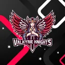 Valkyrie Knights