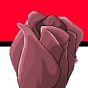 Pokémon Blooming Beast