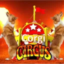 CorgiCircus