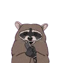 Raccoon Tweeties
