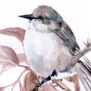 Love☆Labyrinth's icon