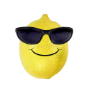 Lemon Kingdom Server Icon