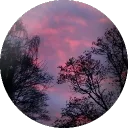 Planet Jairin🪐 discord icon