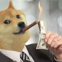 DOGE YIELDERS