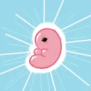 deevine fetus cult
