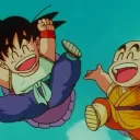 Turtle Hermit School