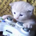 ꒰💌꒱ Precious ﹒Gaming ﹒Social﹒ VC﹒ Art
