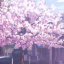 ❀»-sakuracure-«❀