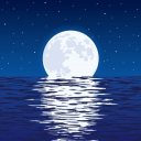 Moonlight Valley! (fantasy high-school plus hangout!) Discord server icon