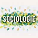 L1 Socio Nanterre