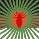 Lice cult