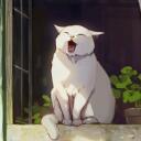 The Stray's Discord Server Icon
