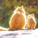 Cat's Coffee â˜• Server Icon