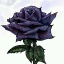 Purp'ose