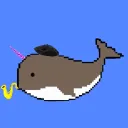 Magical World Of Narwhals