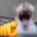 НАСТОЯЩИЕ ПОХУИСТЫ