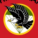Republic of Vietnam 3rd Airborne Company