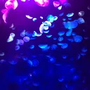 凛の汚部屋