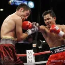 ll WBO/WBA/WBC ll Boxing Club Federation (Xbox) discord icon