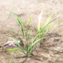 SC_sandbox