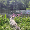 Those who Bloom and Those w...