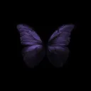 🦋•𝐌𝐚𝐫𝐢𝐩𝐨𝐬𝐚